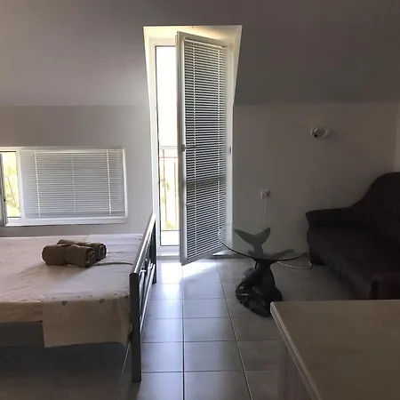 Rose 3* Приморско