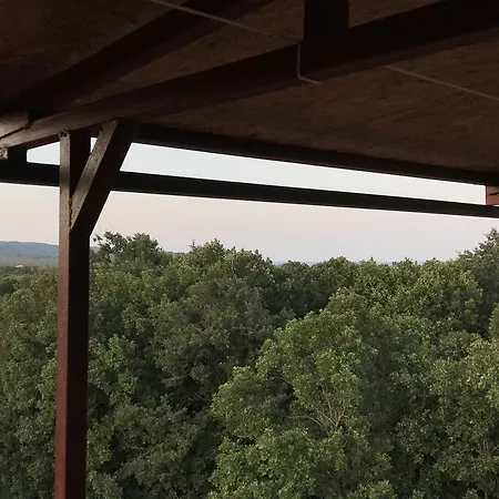 Rose Гостевой дом