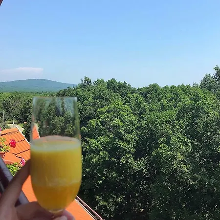 Rose Гостевой дом Приморско