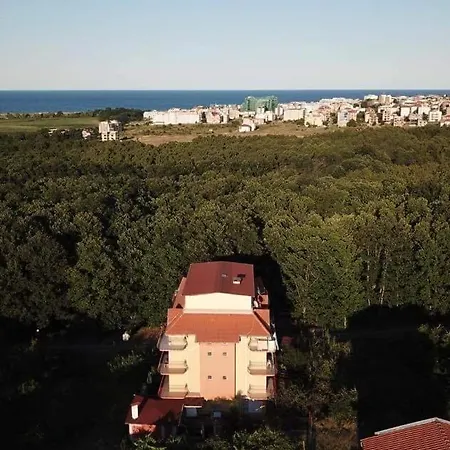 Rose 招待所 普里莫尔斯科