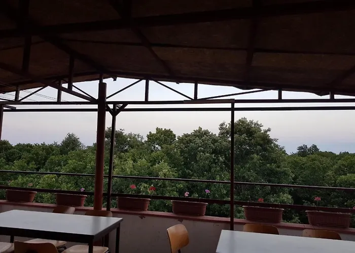 Rose Guest house Primorsko