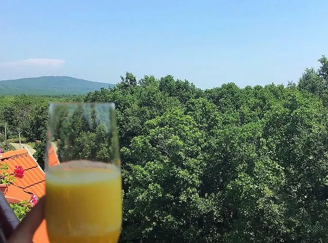 Rose Guest house Primorsko